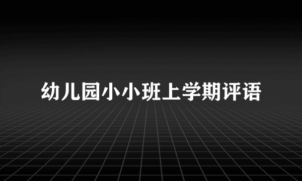 幼儿园小小班上学期评语