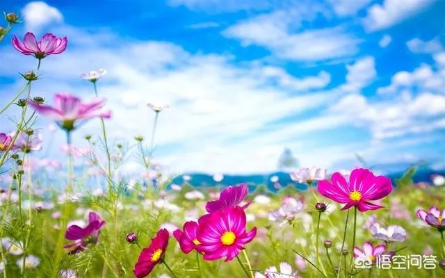 完美的幸福是什么？