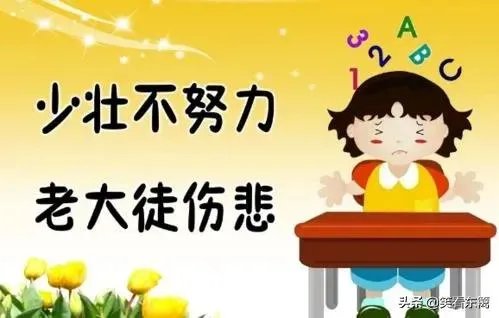 你有哪些喜欢的句子想要分享吗？