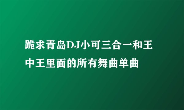 跪求青岛DJ小可三合一和王中王里面的所有舞曲单曲
