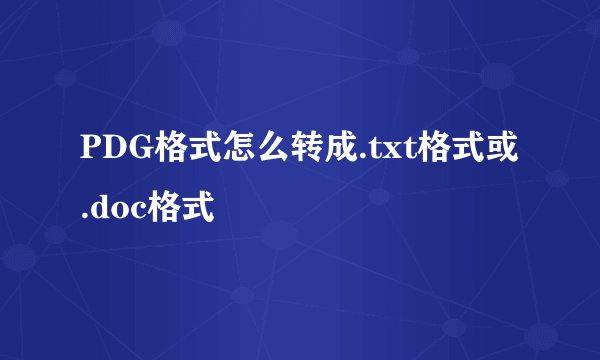 PDG格式怎么转成.txt格式或.doc格式