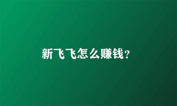 新飞飞怎么赚钱？