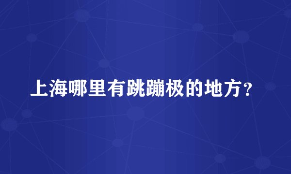 上海哪里有跳蹦极的地方？