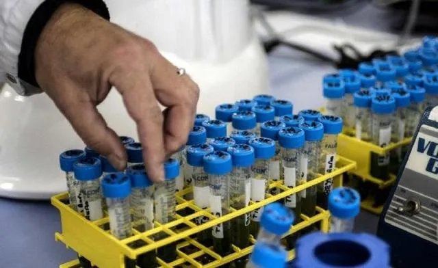 国外疫情的数据是真实的吗？有何依据？