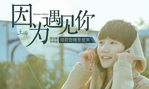 王源编的《因为遇见你》歌词是什么?