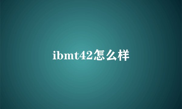ibmt42怎么样