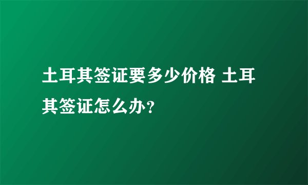 土耳其签证要多少价格 土耳其签证怎么办？