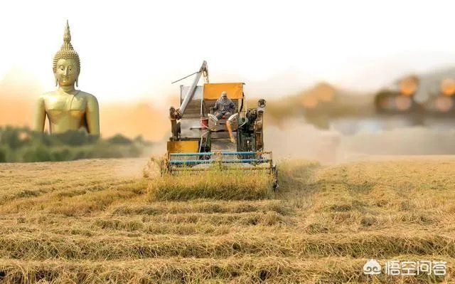 关于农业生产的俗语有哪些？