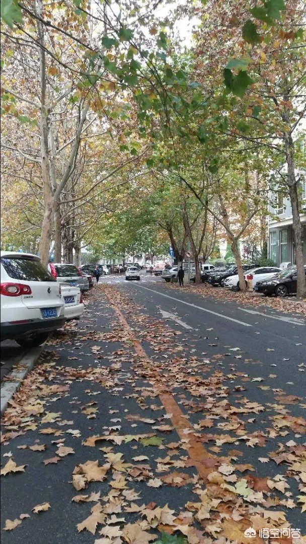 大连的人行道为什么那么窄？