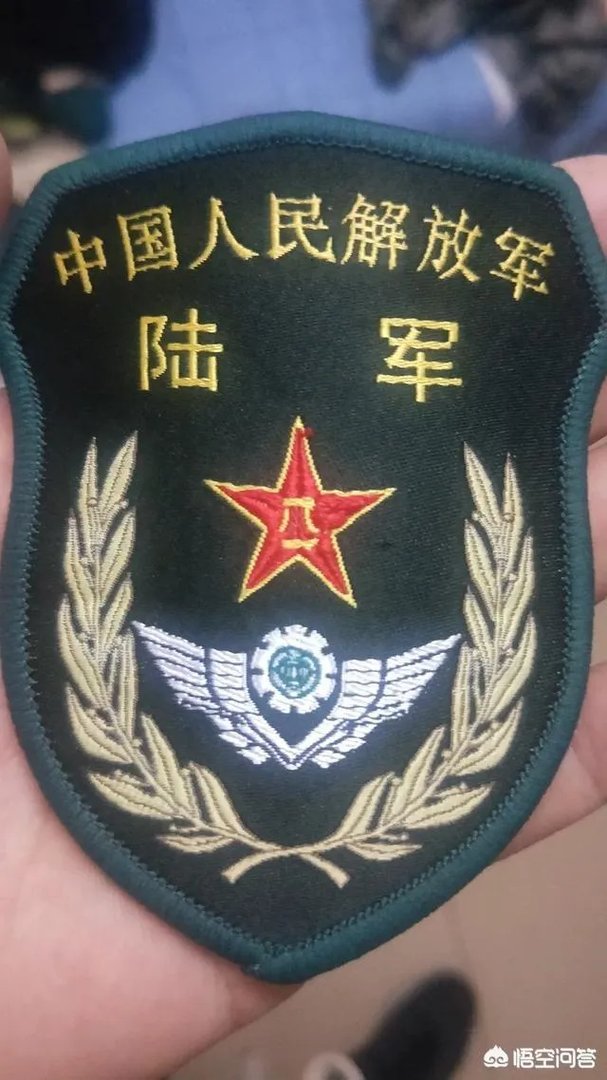 如何看待英雄烈士王成龙的事迹？