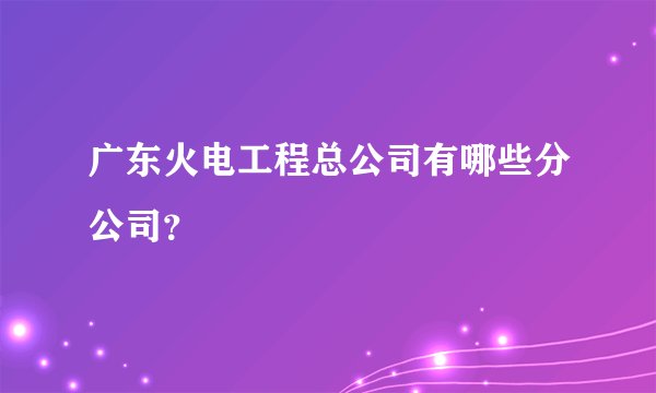 广东火电工程总公司有哪些分公司？