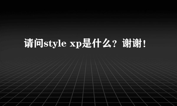 请问style xp是什么？谢谢！