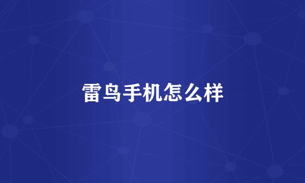 雷鸟手机怎么样
