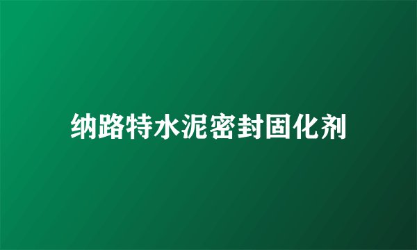 纳路特水泥密封固化剂