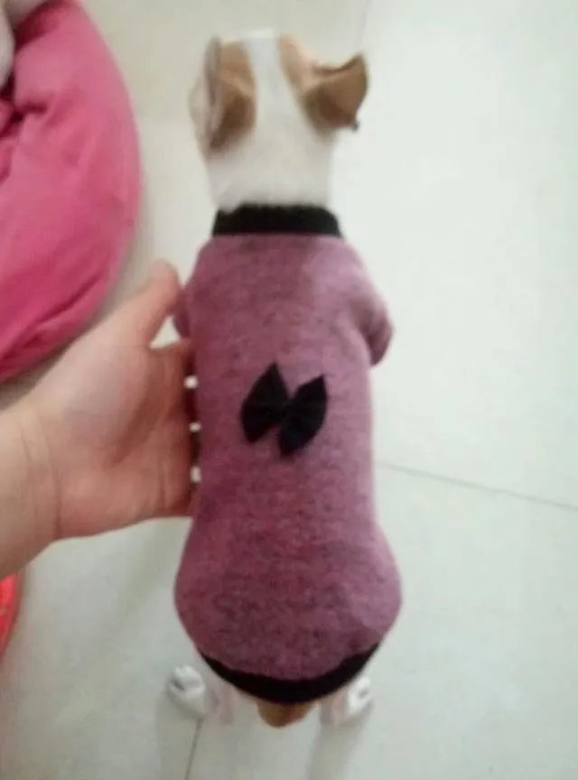 关于禁养中华田园犬（俗称土狗）的内容引发热议对此，你怎么看？