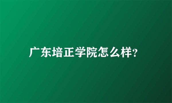 广东培正学院怎么样？