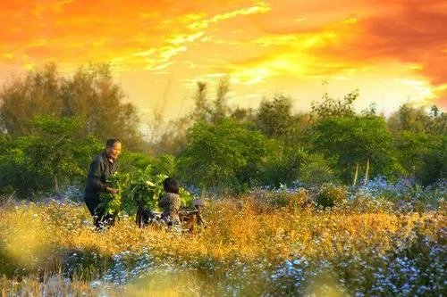 爷爷在日历上写孩子们都回来了