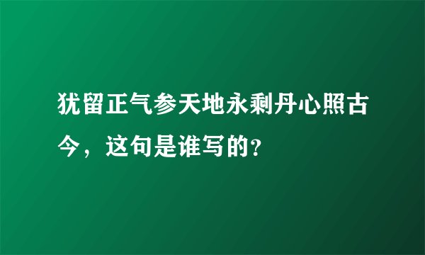 犹留正气参天地永剩丹心照古今，这句是谁写的？
