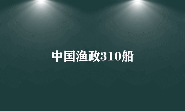 中国渔政310船