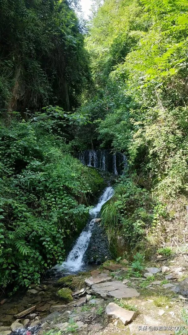 地摊经济就是人间烟火