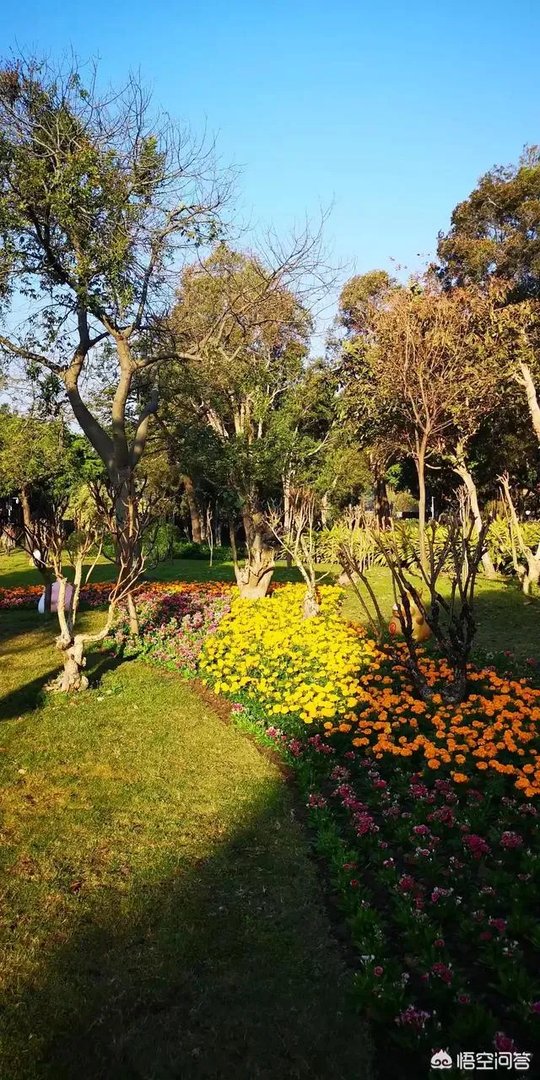 广州流花湖公园好玩嘛？