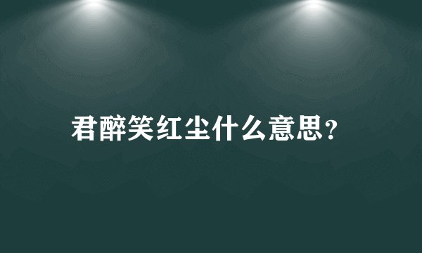 君醉笑红尘什么意思？