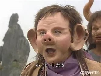 《福星高照猪八戒》这部神剧火了多少演员？