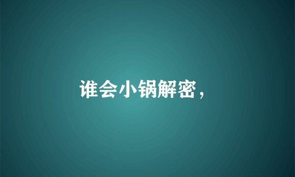 谁会小锅解密，