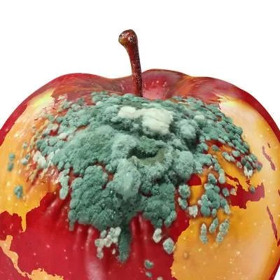 早晨空腹跑步好吗？空腹跑步对人体伤害大？