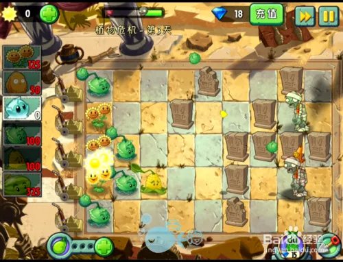 植物大战僵尸2攻略 神秘埃及 植物危机 第三天