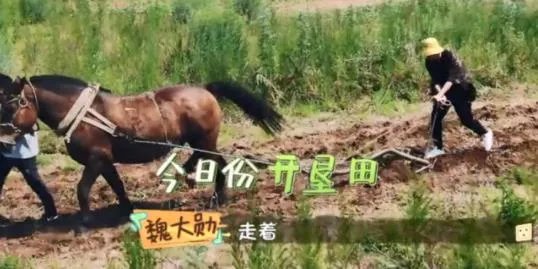 魏大勋开荒犁地什么情况 魏大勋开荒犁地是第几期
