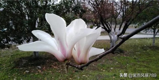 在这个三八妇女节，你对心中的女神最想说什么话？