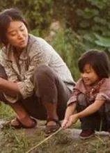 樱桃的剧情简介