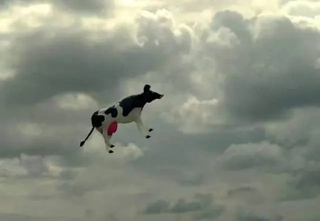 瑞士小镇下起巧克力雨，这是由什么原因引起的？