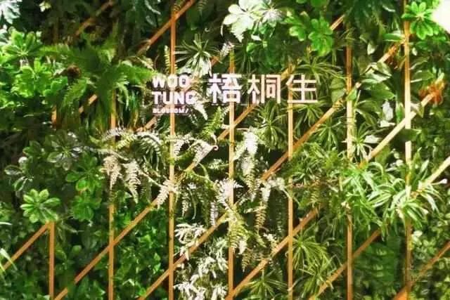 武汉有哪些非常值拍照的网红店？