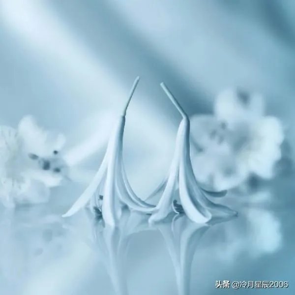 晋中货车坠入20多米山沟，消防员跪地徒手刨挖石子救人, 你怎么看？