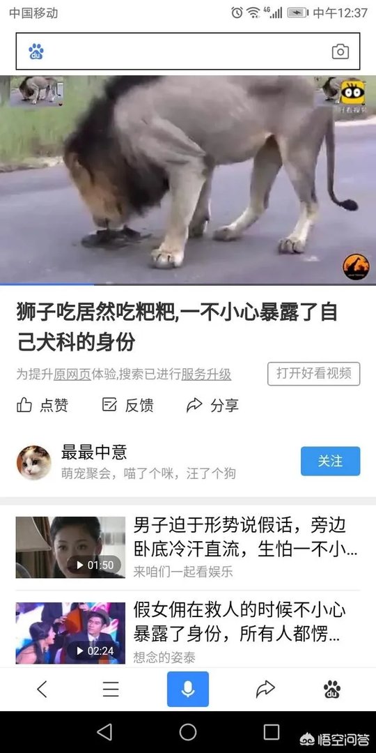 鬣狗狮子