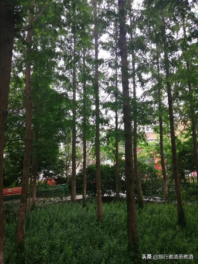 边旅行边赚钱的办法可行吗?