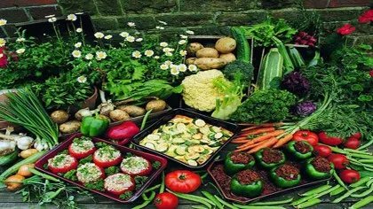 蔬菜批发市场为什么很难做