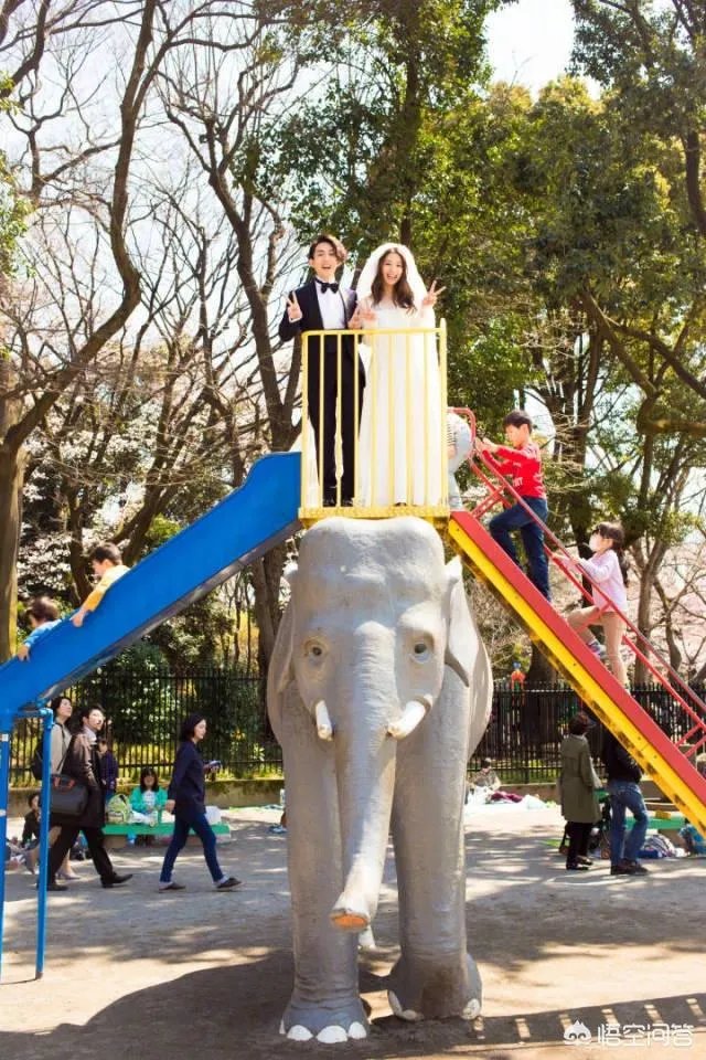 林宥嘉和邓紫棋为什么不欢而散？