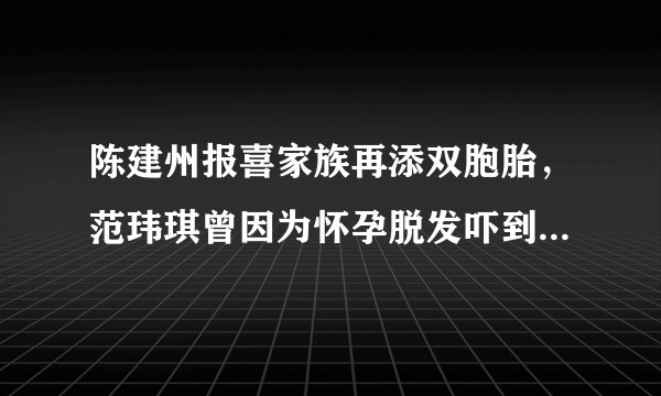陈建州报喜家族再添双胞胎，范玮琪曾因为怀孕脱发吓到小s，你怎么看？