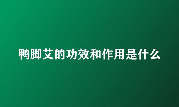 鸭脚艾的功效和作用是什么