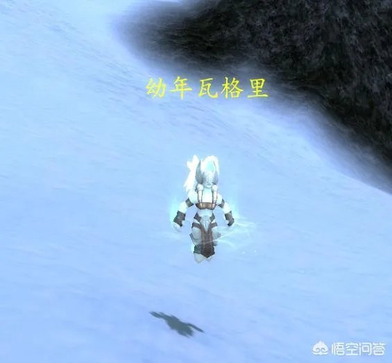 魔兽世界中如何获得瓦格里宠物？