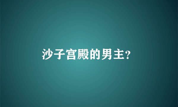 沙子宫殿的男主？