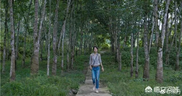 朱丹参加《恕我直言》爆料曾经因婚姻问题惹得整个团队都着急？这是怎么回事？