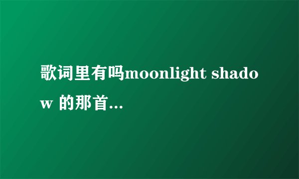 歌词里有吗moonlight shadow 的那首歌叫什么，我要下