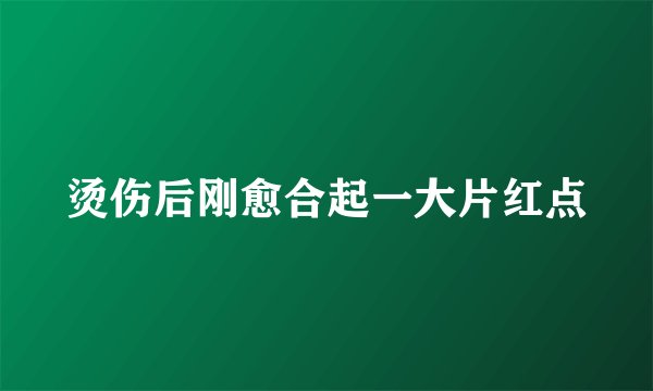 烫伤后刚愈合起一大片红点