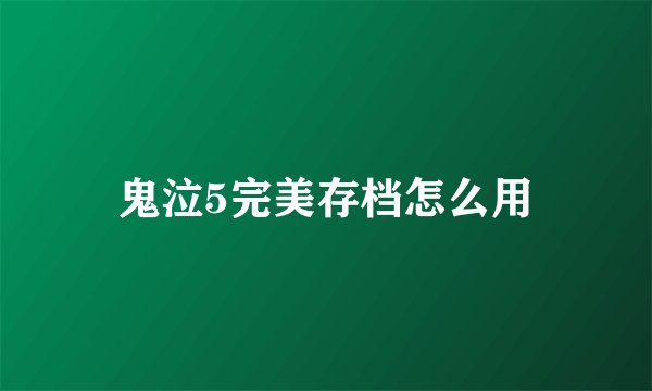 鬼泣5完美存档怎么用