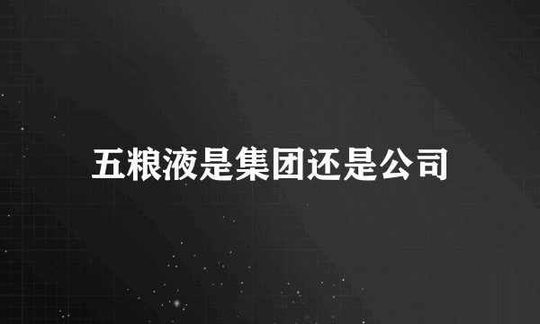 五粮液是集团还是公司