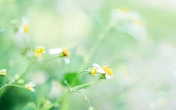 婚姻里的女人到底有多累？